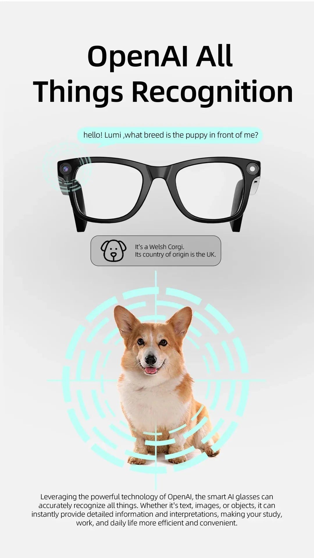 New AI glasses